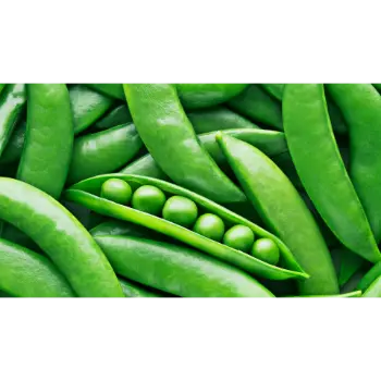 green peas (2)-3940236-74845.webp